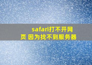 safari打不开网页 因为找不到服务器